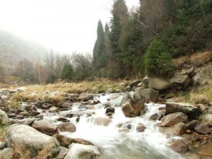find water