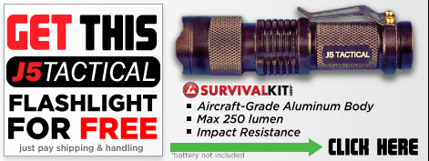 flashlight_win_002