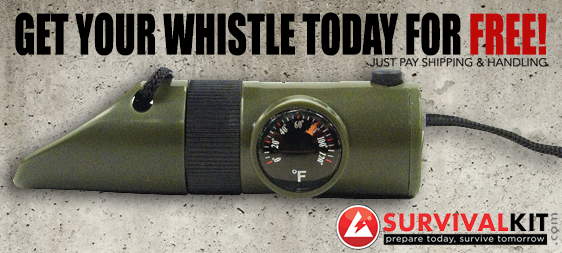 whistle.graphic