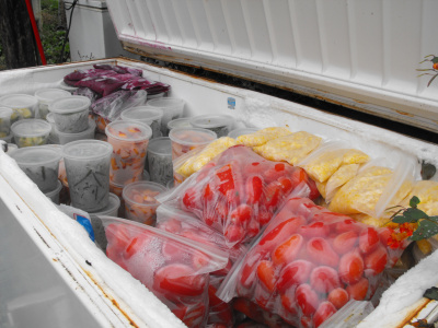 freezerfood