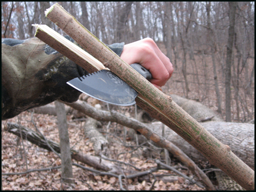 After Tapping A quick view of the sapling as it should be after the first tapping. Do not go very far and be sure to keep the split running EXACTLY down the middle.