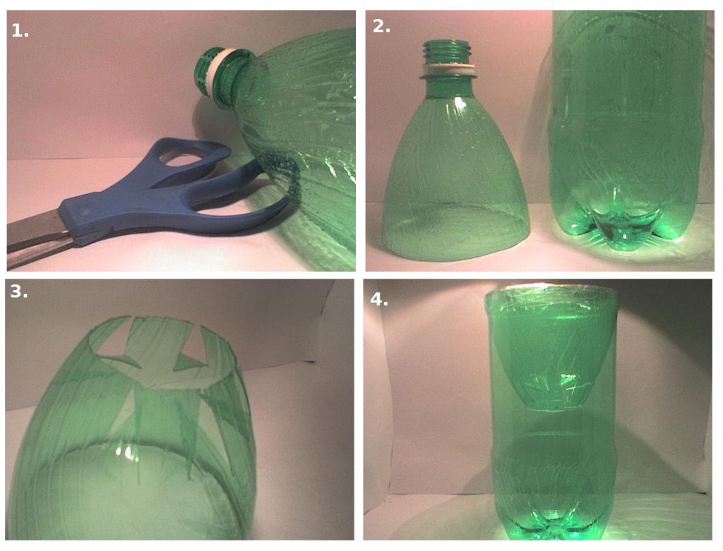 homemade-mouse-traps-that-work-1