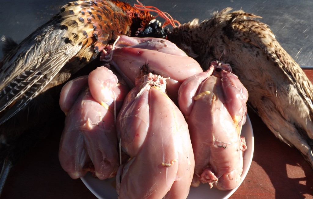 skinning-pheasants