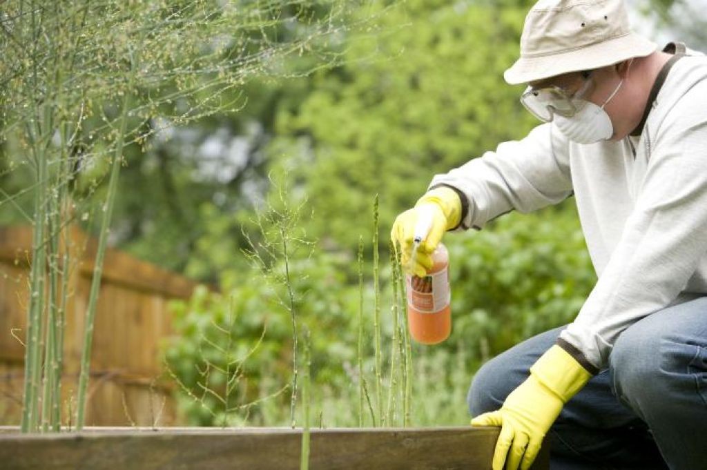 pesticide-fertilizer2