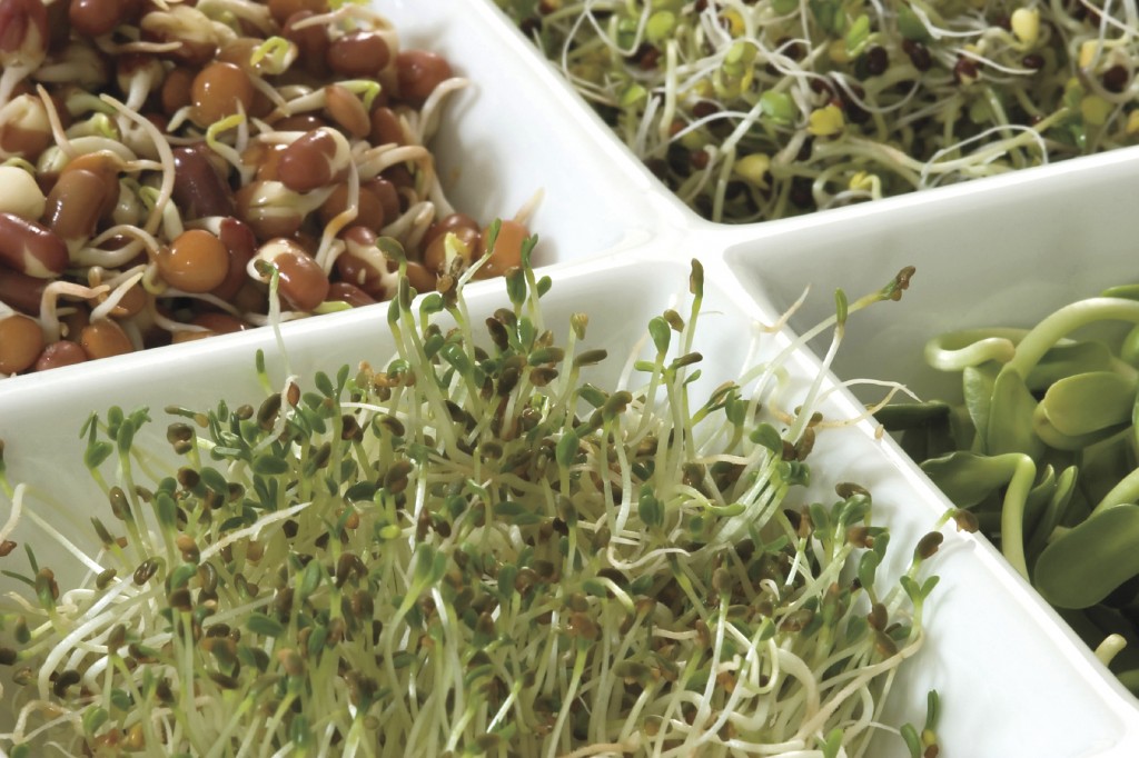 MultiSprouts