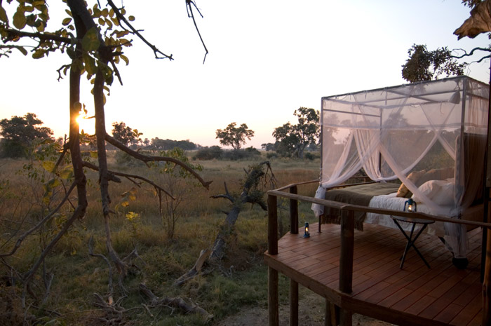 mosquito-net
