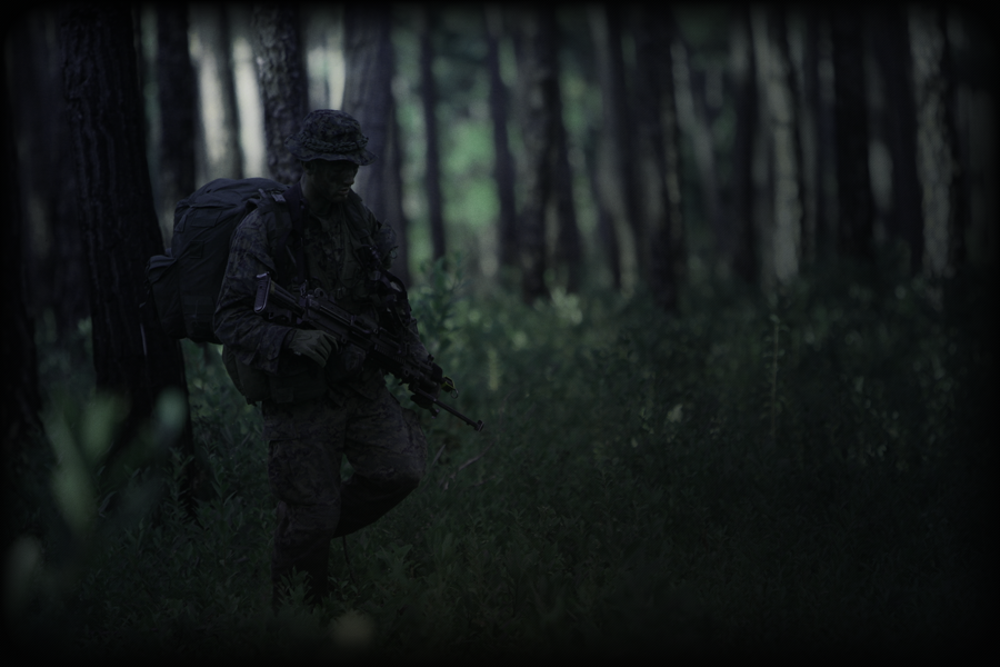 Evasion-and-Survival