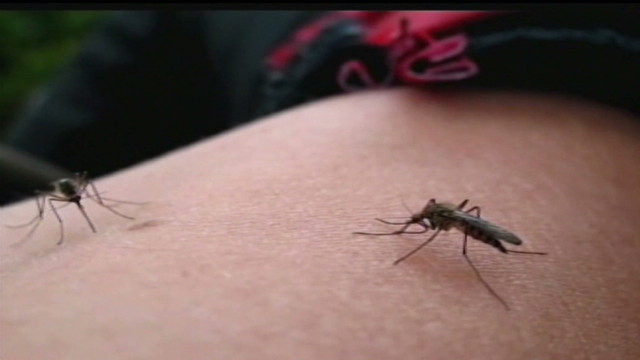 120531051344-dnt-anti-mosquito-app-00000525-story-top