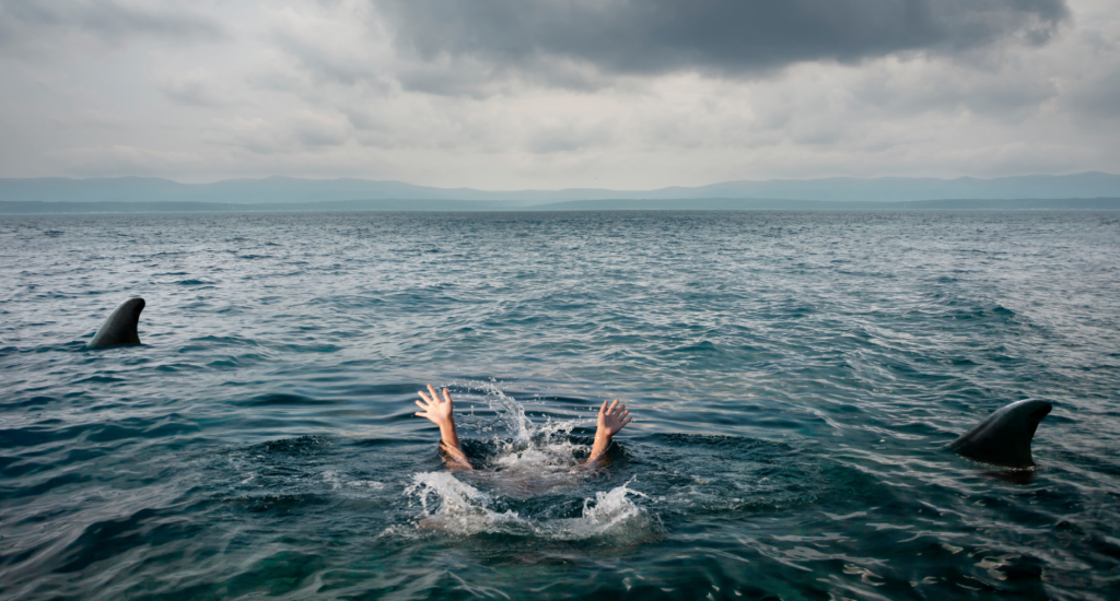 open water