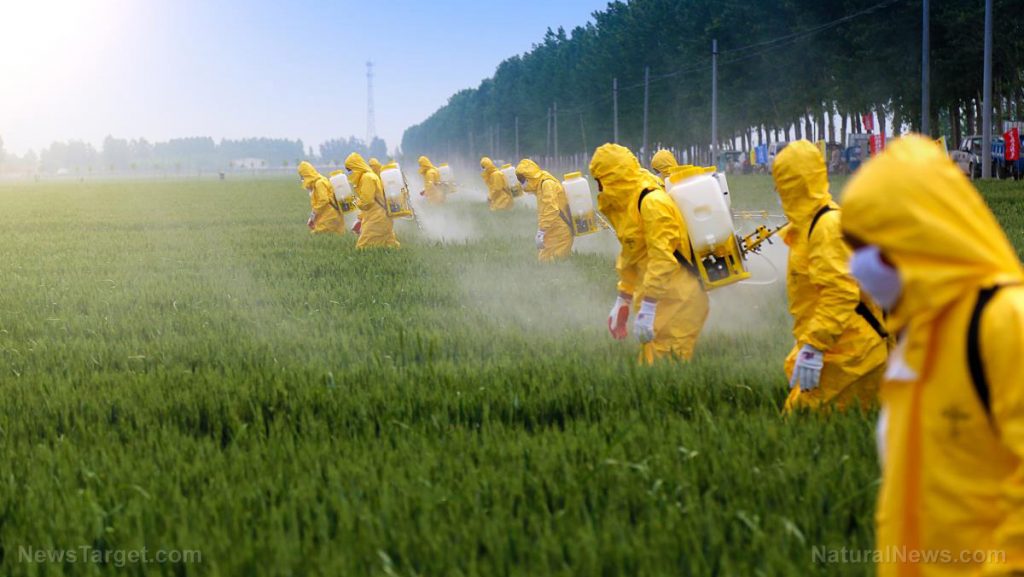 how chemical are fertilizers made Drawbacks About Fertilizers Knowing Worth of The Chemical how chemical are fertilizers made Drawbacks About Fertilizers Knowing Worth of The Chemical